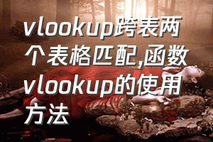 vlookup跨表两个表格匹配（函数vlookup的使用方法）