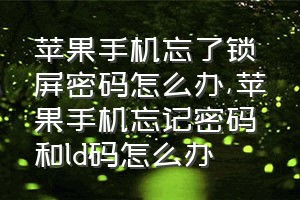 苹果手机忘了锁屏密码怎么办（苹果手机忘记密码和ld码怎么办）