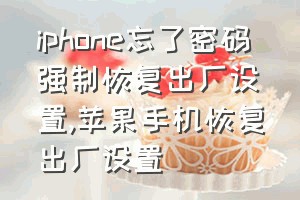 iphone忘了密码强制恢复出厂设置（苹果手机恢复出厂设置）