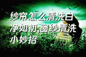 纱帘怎么清洗白净如初（窗纱清洗小妙招）