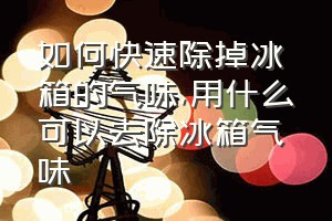 如何快速除掉冰箱的气味（用什么可以去除冰箱气味）