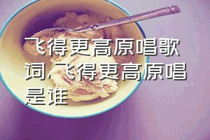 飞得更高原唱歌词（飞得更高原唱是谁）