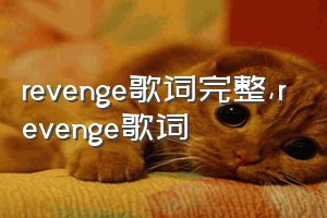 revenge歌词完整（revenge歌词）