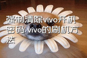 强制清除vivo开机密码（vivo的刷机方法）