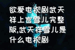 欲爱电视剧武天祥上官雪儿完整版（武天祥雪儿是什么电视剧）