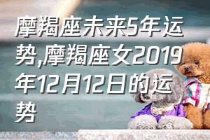 摩羯座未来5年运势（摩羯座女2019年12月12日的运势）