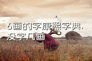 6画的字康熙字典（没字几画）