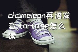 chameleon英语发音（tortoise怎么读）