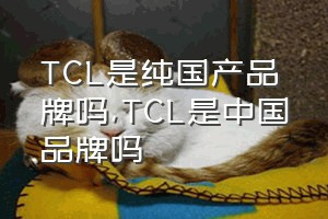 TCL是纯国产品牌吗（TCL是中国品牌吗）