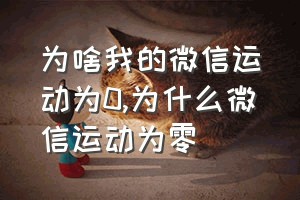 为啥我的微信运动为0（为什么微信运动为零）