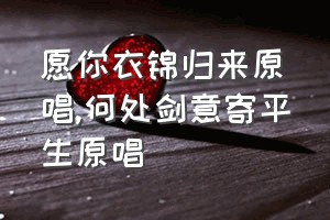 愿你衣锦归来原唱（何处剑意寄平生原唱）