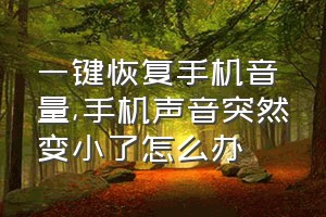 一键恢复手机音量（手机声音突然变小了怎么办）