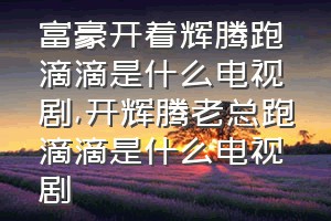 富豪开着辉腾跑滴滴是什么电视剧（开辉腾老总跑滴滴是什么电视剧）