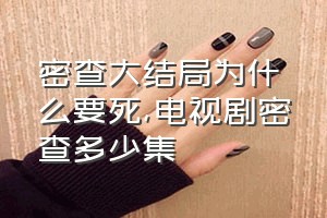 密查大结局为什么要死（电视剧密查多少集）