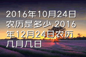 2016年10月24日农历是多少（2016年12月24日农历几月几日）