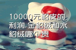 10000元貂皮的利润（金貂绒和水貂绒哪个贵）