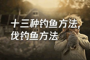 十三种钓鱼方法（伐钓鱼方法）