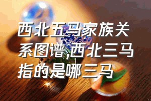 西北五马家族关系图谱（西北三马指的是哪三马）