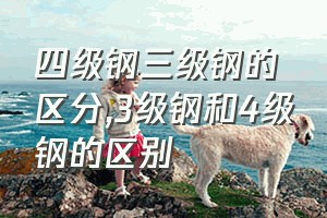 四级钢三级钢的区分（3级钢和4级钢的区别）