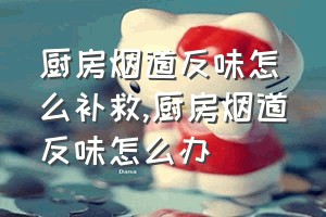 厨房烟道反味怎么补救（厨房烟道反味怎么办）