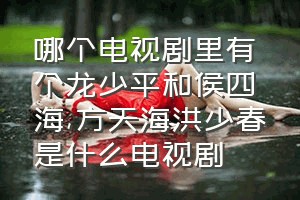 哪个电视剧里有个龙少平和侯四海（方天海洪少春是什么电视剧）