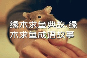 缘木求鱼典故（缘木求鱼成语故事）