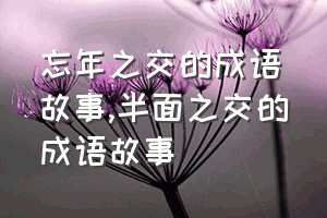 忘年之交的成语故事（半面之交的成语故事）