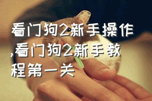 看门狗2新手操作（看门狗2新手教程第一关）