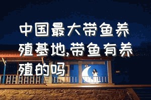 中国最大带鱼养殖基地（带鱼有养殖的吗）