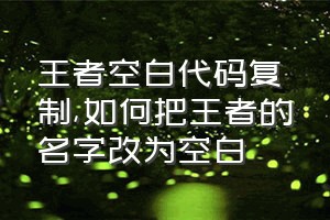 王者空白代码复制（如何把王者的名字改为空白）