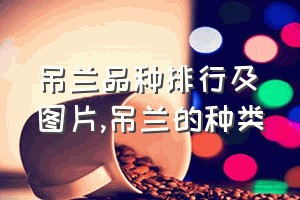 吊兰品种排行及图片（吊兰的种类）