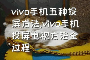 vivo手机五种投屏方法（vivo手机投屏电视方法全过程）