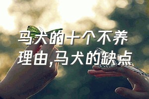 马犬的十个不养理由（马犬的缺点）