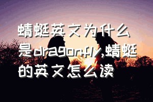 蜻蜓英文为什么是dragonfly（蜻蜓的英文怎么读）