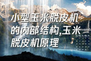 小型玉米脱皮机的内部结构（玉米脱皮机原理）