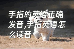 手指的英语正确发音（手指英语怎么读音）