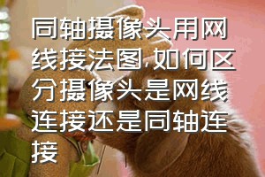 同轴摄像头用网线接法图（如何区分摄像头是网线连接还是同轴连接）