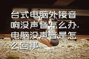 台式电脑外接音响没声音怎么办（电脑没声音是怎么回事）