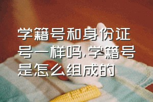 学籍号和身份证号一样吗（学籍号是怎么组成的）