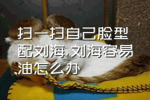 扫一扫自己脸型配刘海（刘海容易油怎么办）