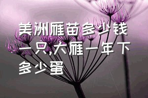 美洲雁苗多少钱一只（大雁一年下多少蛋）