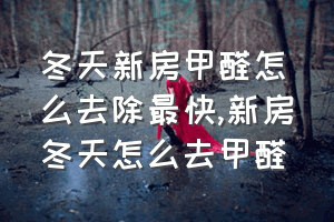 冬天新房甲醛怎么去除最快（新房冬天怎么去甲醛）