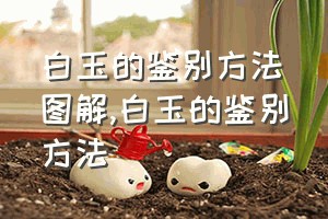 白玉的鉴别方法图解（白玉的鉴别方法）