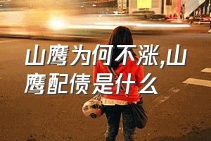 山鹰为何不涨（山鹰配债是什么）