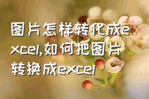 图片怎样转化成excel（如何把图片转换成excel）