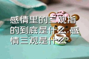 感情里的三观指的到底是什么（感情三观是什么）