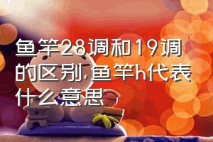 鱼竿28调和19调的区别（鱼竿h代表什么意思）