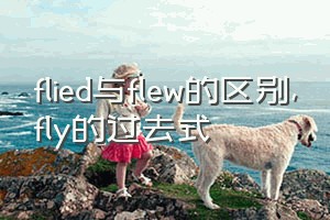 flied与flew的区别（fly的过去式）