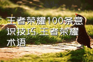 王者荣耀100条意识技巧（王者荣耀术语）