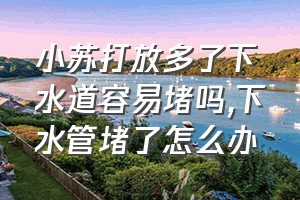 小苏打放多了下水道容易堵吗（下水管堵了怎么办）